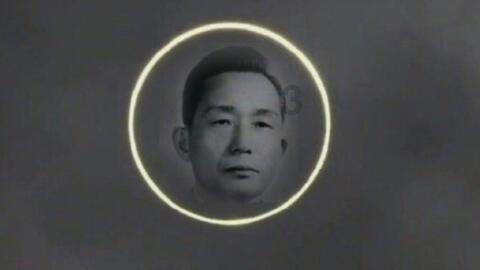 小猫钓鱼正版下载中文版